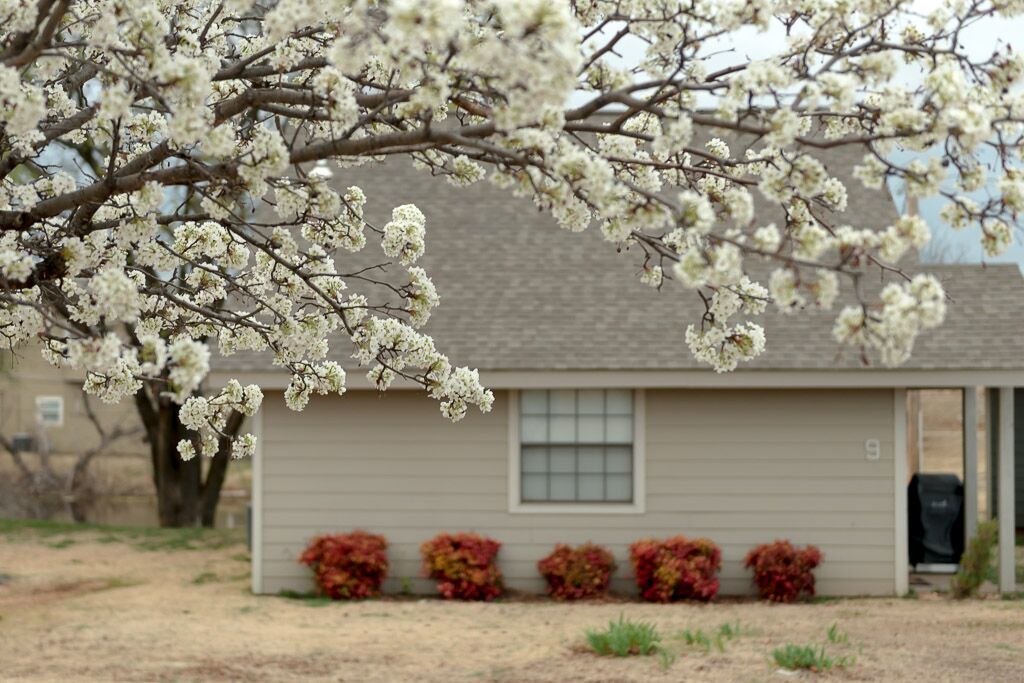 Foxfire (2425 W. Lakeview) Campbell Properties